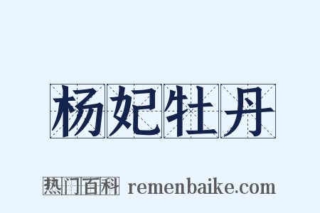 杨妃牡丹是什么意思的图片